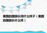 美国的国旗长得什么样子（美国的国旗长什么样）
