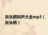 灰头鹀叫声大全mp3（灰头鹀）