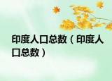 印度人口总数（印度人口总数）