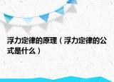 浮力定律的原理（浮力定律的公式是什么）