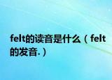 felt的读音是什么（felt的发音.）