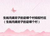生蚝壳建房子的是哪个村蚂蚁村庄（生蚝壳建房子的是哪个村）