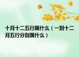 十月十二五行属什么（一到十二月五行分别属什么）