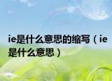 ie是什么意思的缩写（ie是什么意思）