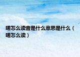嗟怎么读音是什么意思是什么（嗟怎么读）