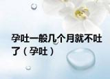 孕吐一般几个月就不吐了（孕吐）