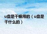 u盘是干嘛用的（u盘是干什么的）