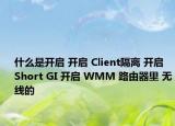 什么是开启 开启 Client隔离 开启 Short GI 开启 WMM 路由器里 无线的