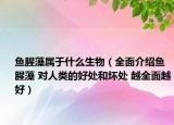 鱼腥藻属于什么生物（全面介绍鱼腥藻 对人类的好处和坏处 越全面越好）
