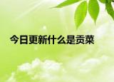 今日更新什么是贡菜