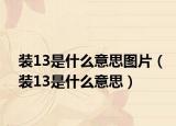 装13是什么意思图片（装13是什么意思）