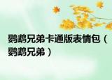鹦鹉兄弟卡通版表情包（鹦鹉兄弟）