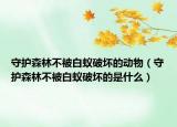 守护森林不被白蚁破坏的动物（守护森林不被白蚁破坏的是什么）