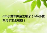 ofo小黄车押金去哪了（ofo小黄车月卡怎么领取）