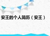 安王的个人简历（安王）