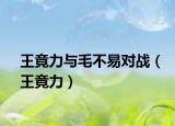 王竟力与毛不易对战（王竟力）
