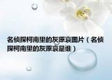 名侦探柯南里的灰原哀图片（名侦探柯南里的灰原哀是谁）