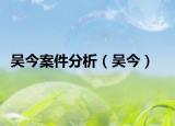 吴今案件分析（吴今）