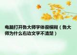 电脑打开鲁大师字体很模糊（鲁大师为什么右边文字不清楚）