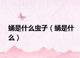 蛹是什么虫子（蛹是什么）
