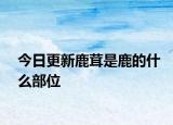今日更新鹿茸是鹿的什么部位