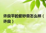 许良平的紫砂壶怎么样（许良）