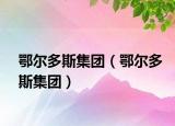 鄂尔多斯集团（鄂尔多斯集团）