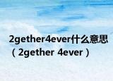 2gether4ever什么意思（2gether 4ever）