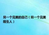 另一个完美的自己（另一个完美陌生人）