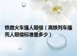 铁路火车撞人赔偿（高铁列车撞死人赔偿标准是多少）