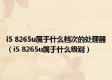 i5 8265u属于什么档次的处理器（i5 8265u属于什么级别）