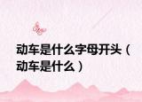动车是什么字母开头（动车是什么）
