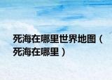 死海在哪里世界地图（死海在哪里）