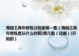 海贼王两年修炼过程是哪一集（海贼王两年修炼是从什么时候[第几集（动画）]开始的）