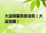 大盗贼霍真普洛兹（大盗宝藏）