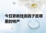 今日更新挂面圆子是哪里的特产