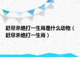 赶尽杀绝打一生肖是什么动物（赶尽杀绝打一生肖）