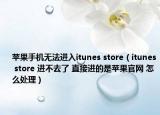 苹果手机无法进入itunes store（itunes store 进不去了 直接进的是苹果官网 怎么处理）