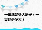 一亩地是多大房子（一亩地是多大）
