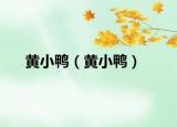 黄小鸭（黄小鸭）