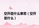 空开是什么意思（空开是什么）