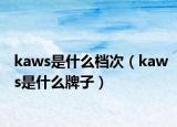 kaws是什么档次（kaws是什么牌子）
