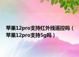 苹果12pro支持红外线遥控吗（苹果12pro支持5g吗）