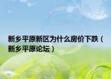 新乡平原新区为什么房价下跌（新乡平原论坛）