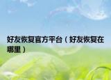 好友恢复官方平台（好友恢复在哪里）