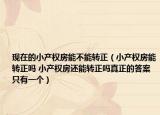 现在的小产权房能不能转正（小产权房能转正吗 小产权房还能转正吗真正的答案只有一个）