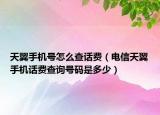 天翼手机号怎么查话费（电信天翼手机话费查询号码是多少）