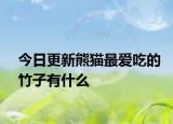 今日更新熊猫最爱吃的竹子有什么