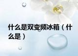 什么是双变频冰箱（什么是）
