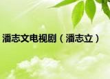 潘志文电视剧（潘志立）